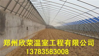 香菇大棚施工方案廊坊几字钢温室建设公司