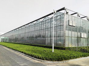 【玻璃温室大棚建造的1000平米生态餐厅造价多少钱】-