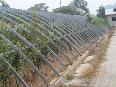 钢管镀锌大棚造价钢架大棚日光温室建设连体温室蔬菜种植大棚配件销售安装